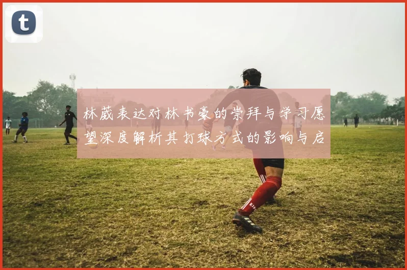 林葳表达对林书豪的崇拜与学习愿望深度解析其打球方式的影响与启发