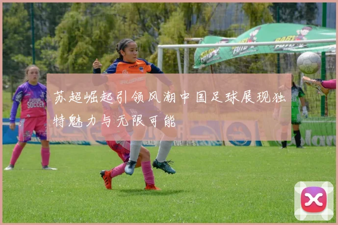 苏超崛起引领风潮中国足球展现独特魅力与无限可能