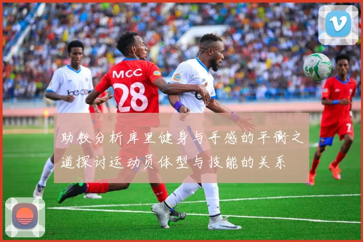 助教分析库里健身与手感的平衡之道探讨运动员体型与技能的关系